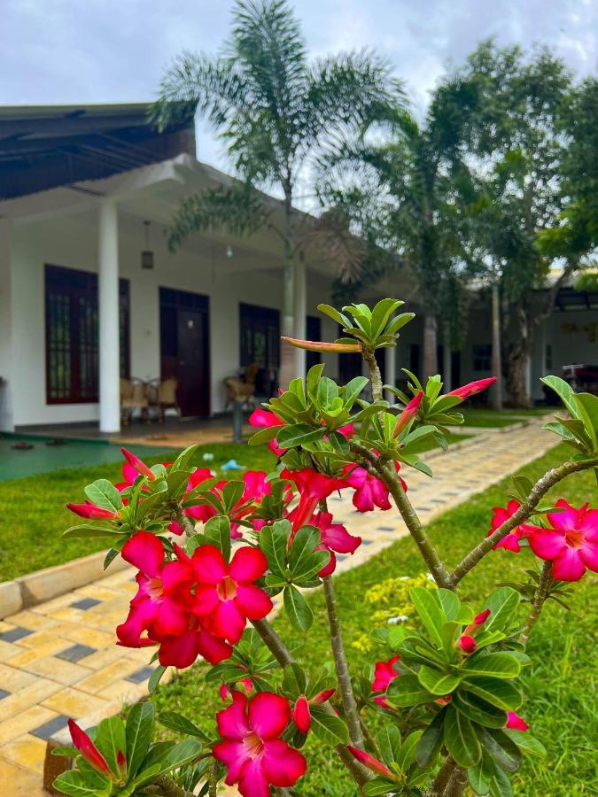Sigiriya Green Garden Home Bagian luar foto