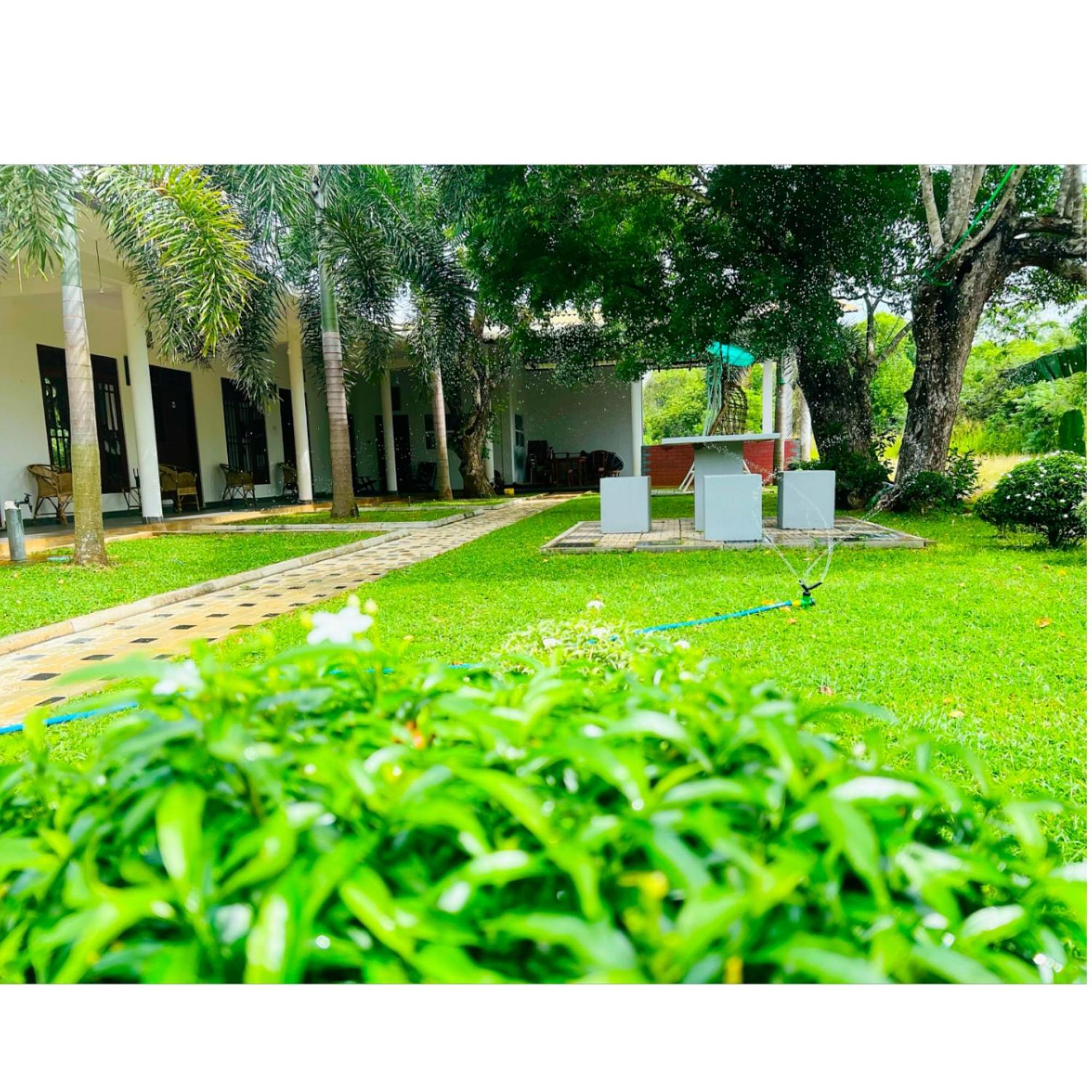 Sigiriya Green Garden Home Bagian luar foto